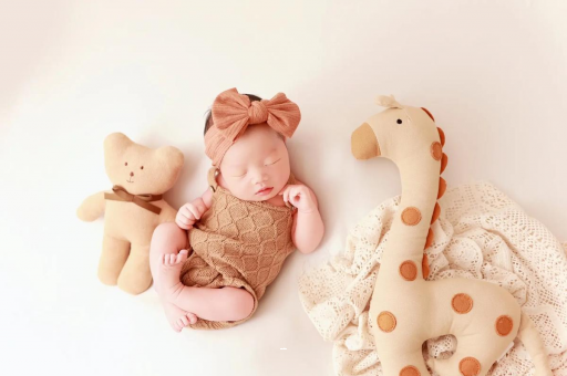 潮州宝宝虾的做法 潮州宝宝虾的做法